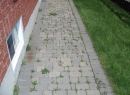 Vaughan | Interlock walkway with weeds growing in 