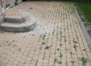  Mississauga | Interlock patio with weeds and grass growing in